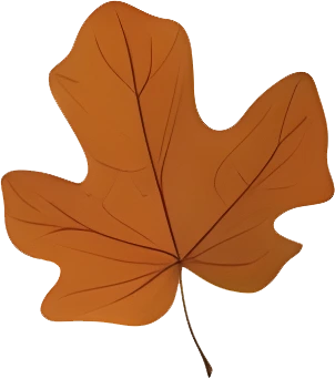 rendy Foliage Design, Leaf PNG Download, Tropical different type exotic leaves set_23.webp